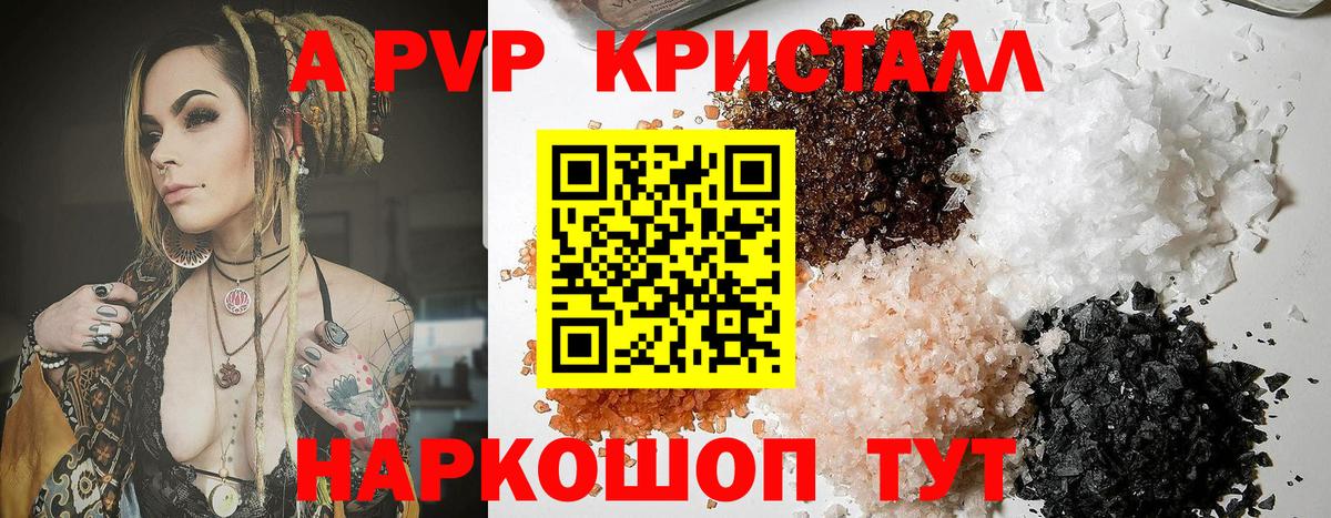 A PVP СК КРИС Нижнекамск