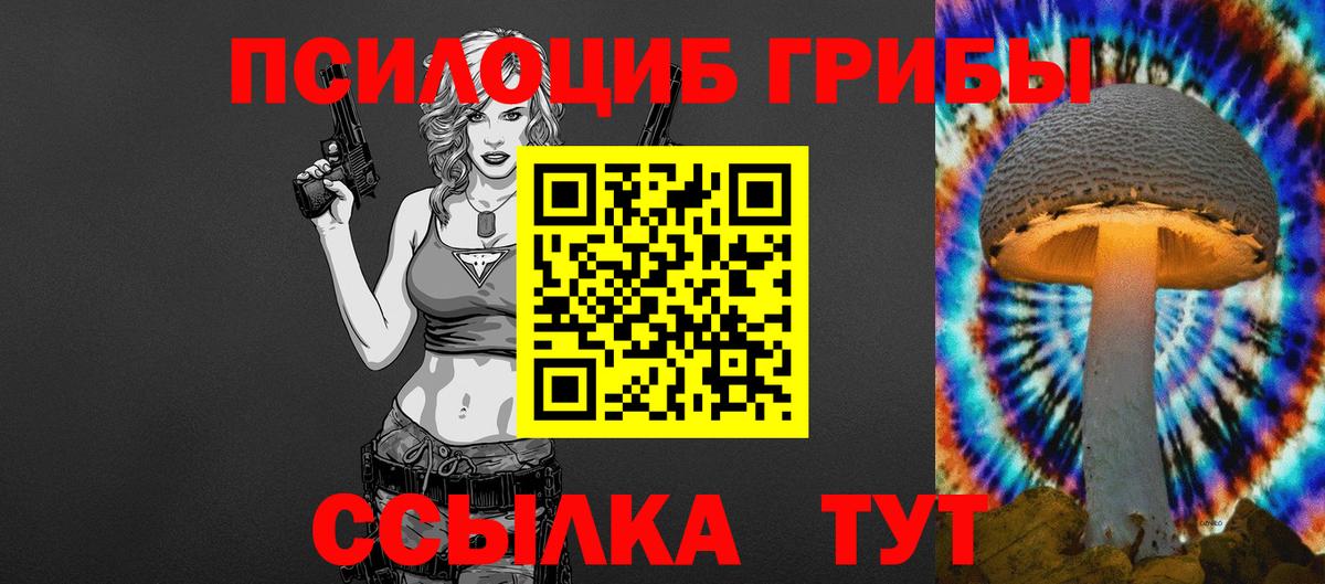 Псилоцибиновые грибы мицелий  Галлюциногенные грибы GOLDEN TEACHER  Нижнекамск  Вход с VPN 